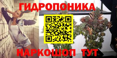 мяу мяу мука Изобильный
