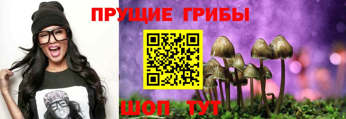 Псилоцибиновые грибы ЛСД  Псилоцибиновые грибы Psilocybine cubensis  Вход с VPN  купить наркоту  Луга 