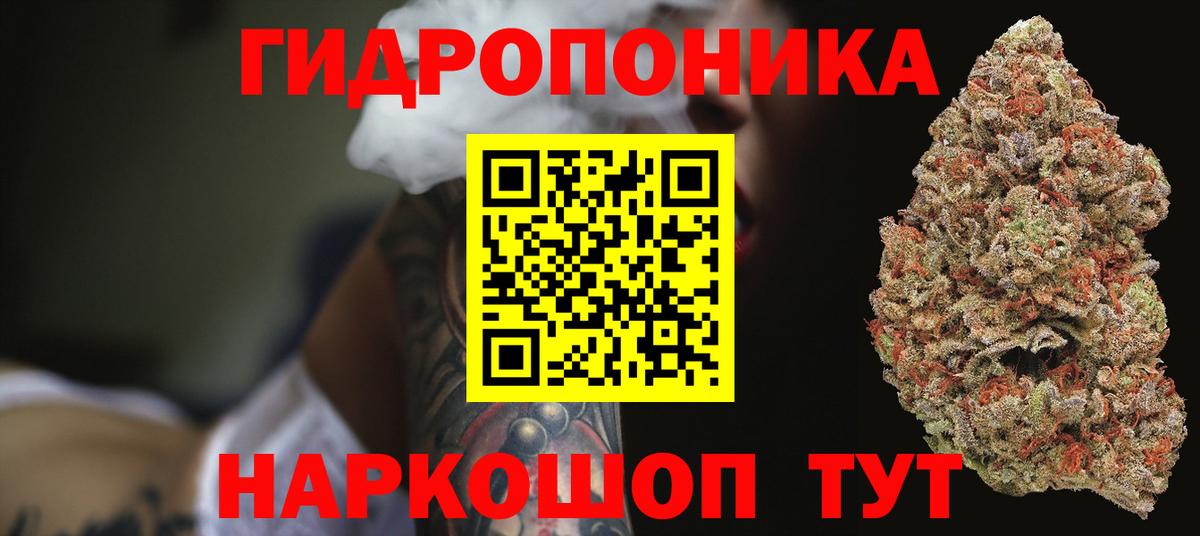 Бошки марихуана OG Kush Луга